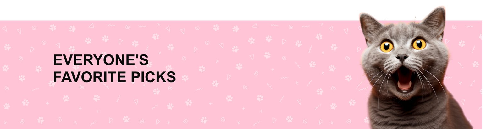 Precise Petcare promo