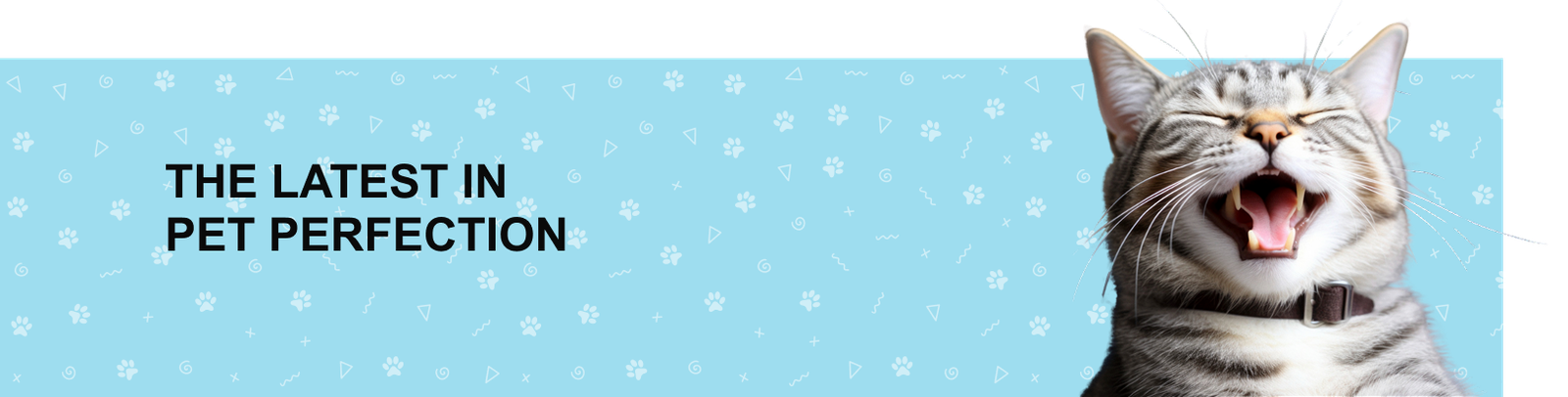 Precise Petcare promo