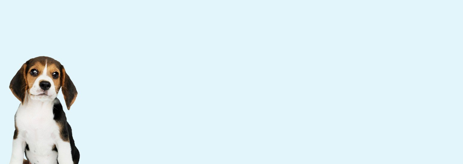 Precise Petcare promo