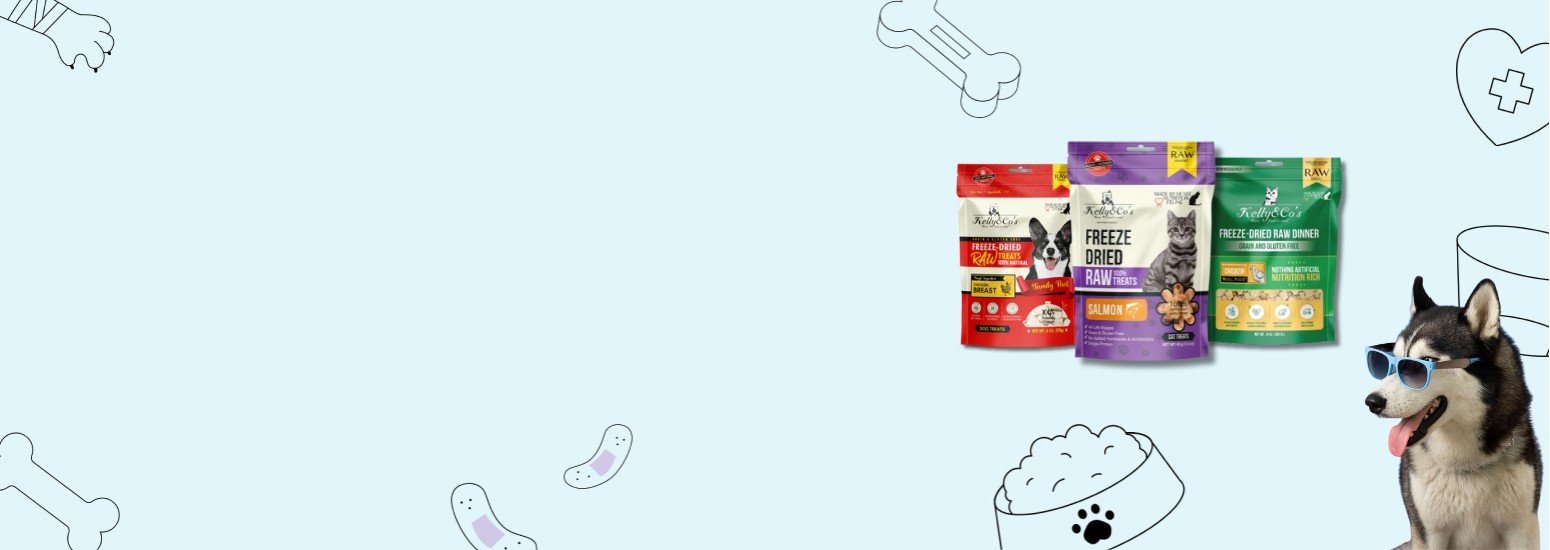 Precise Petcare promo