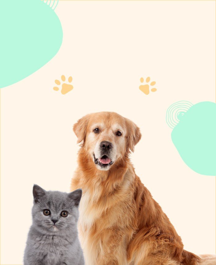 Customer Login page Image